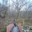 상관편백숲 공영주차장 이미지