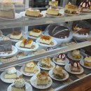 카우만 동물병원 이미지