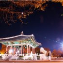 용두산공원 이미지