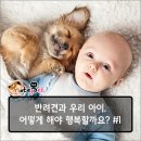원벨리캣 이미지