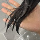 플로리스트영 이미지