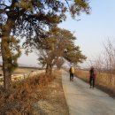 요도천 자전거길 이미지