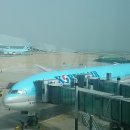 777 Daum카페