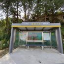 대촌1리농로 이미지