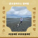 강동해변펜션 | 울산 애견동반여행 오전 일정 강동몽돌해변 반려견 산책｜바다 보며 먹는 롯데리아 아침식사 및 강아지...
