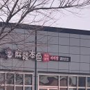 마라본색