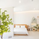 애월오사이 이미지