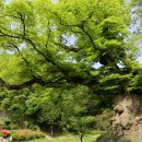 화순우체국 이미지