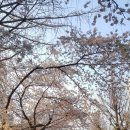 영신고등학교 이미지