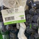 가영축산 | 12월