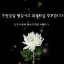 무안공항 여객기 추락 참사 이미지