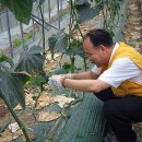 반월농협 이미지