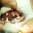 중동우리아이동물병원 이미지