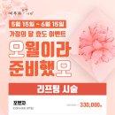 하얀나라피부과 이미지