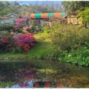 동해황토민박 이미지