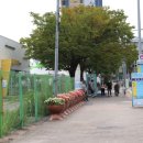 동구 코로나백신센터 앞 네이버블로그