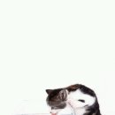 아지