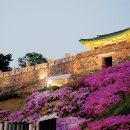 부여테마여행 이미지