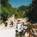 로베로또