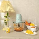 전동판매점 | 전동다지기 26년 설+세일 추천템 테팔 만능다지기 초페오