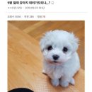 행복해 이미지
