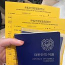 이화국제결혼 | [신혼여행] ‘아프리카 신혼여행’ 준비 2탄 이것 없으면 입국 불가? 예방접종의 모든 것! 💉