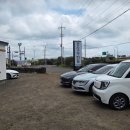 종달구경 | 돌아기랑 제주도 보름살이 DAY4(종달수다뜰/블루엘리펀트/레이어드카페)