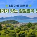 바우토피아 이미지