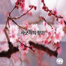 매란국죽 이미지