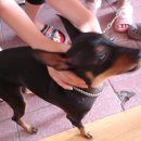 우람동물병원 이미지