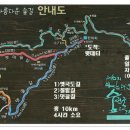 아랫대티 숲 이미지