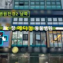 정 메디컬 동물병원 이미지