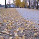 여주-1104 이미지