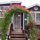 몽실하우스 이미지