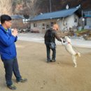 수졸당