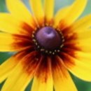 건영백두산사우나 이미지