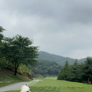 어등산CC 이미지