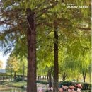 순천만풍경 이미지