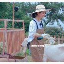 지민목장 이미지