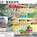 명성프라자약국 네이버블로그