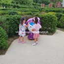귀덕리646 | 제주도2박3일/딸과여행/코로나제주여행즐기기/미미국수/에코그린리조트/독개물항/훈이네해장국/뽀로로...