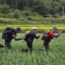 내연산 향로봉의 아름다운 추억 이미지