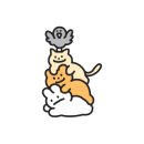 스테이노은 이미지