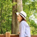 (주)경주산림환경 이미지