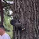 GS25그랑블루점 이미지