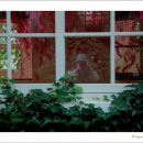 나를 찾아가는 여행 이미지