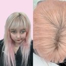 [경기도/의정부]의정부헤어샵 의정부무제한탈색'체이퍼헤어' 내돈내산 솔직후기