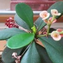 호노래연습장 이미지