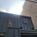 학동 애견 이미지