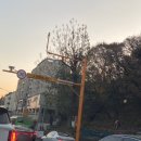 카메라 단속중 표지판 이미지